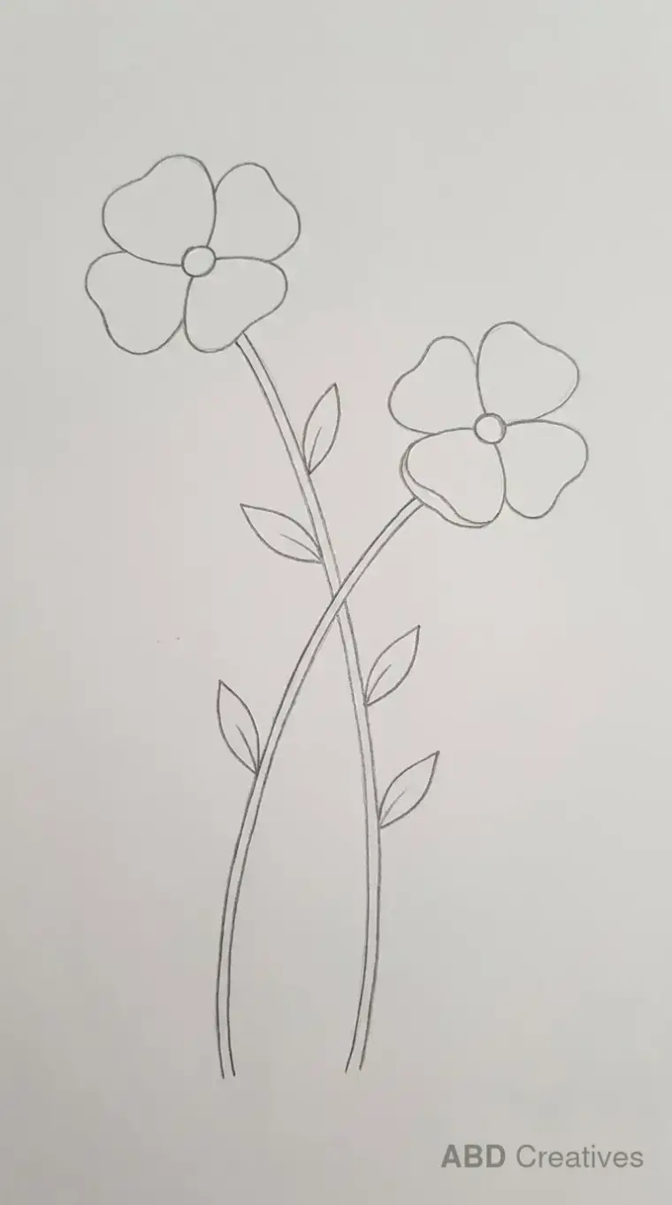 Two Poppies Together