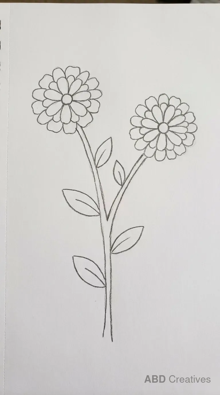 Two Zinnias on One Branch