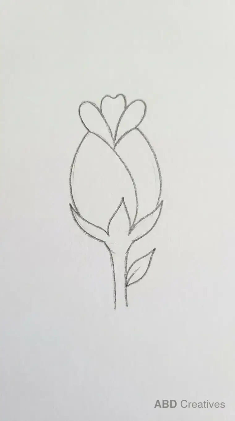 Zinnia Bud
