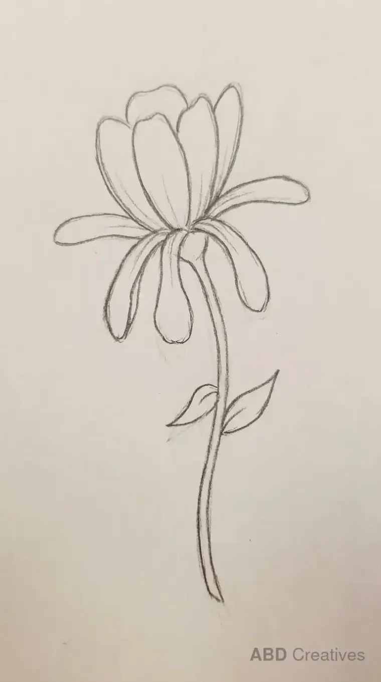 Zinnia with Drooping Petals