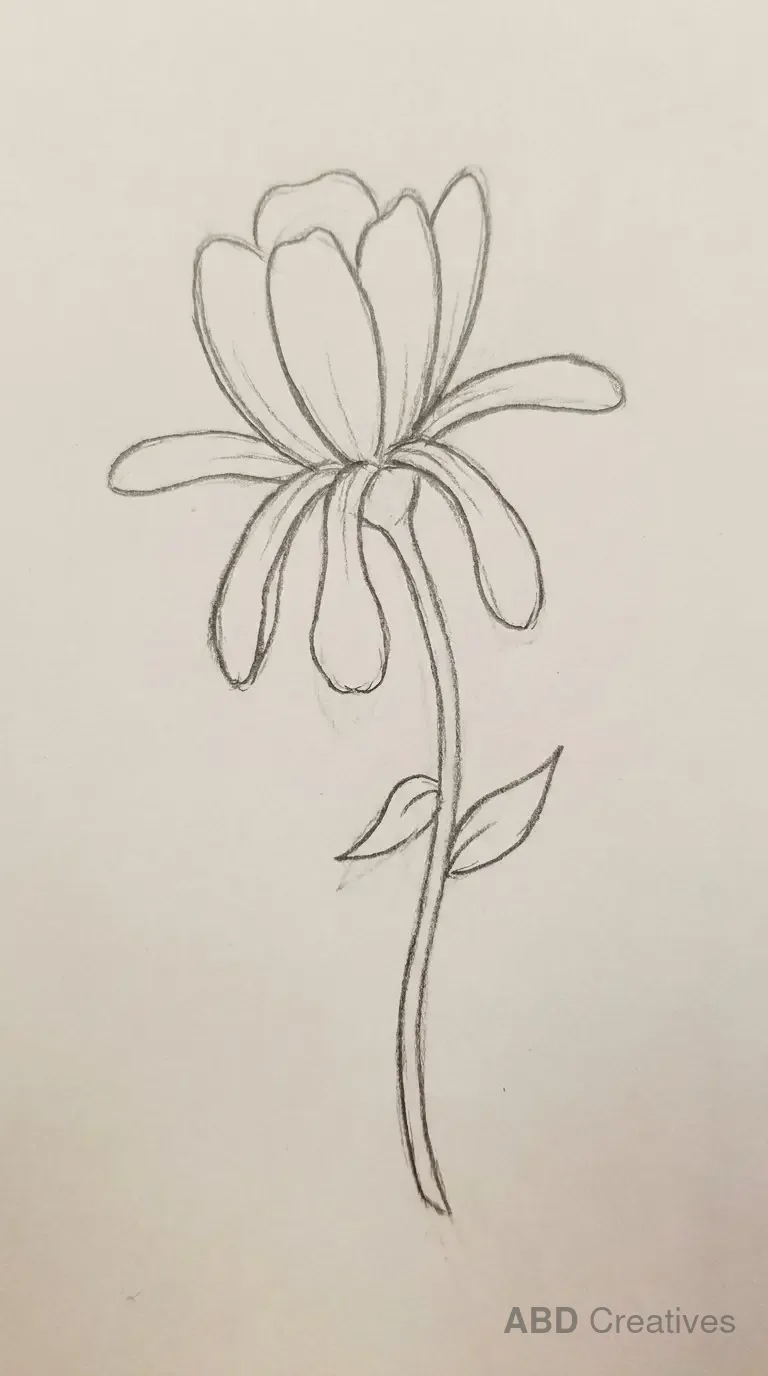 Zinnia with Drooping Petals