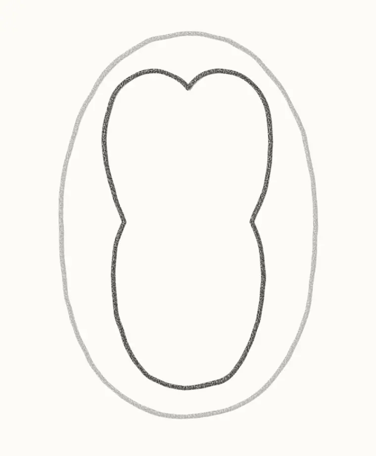 How to Draw a Cartoon Penguin, step 2: add the face and belly