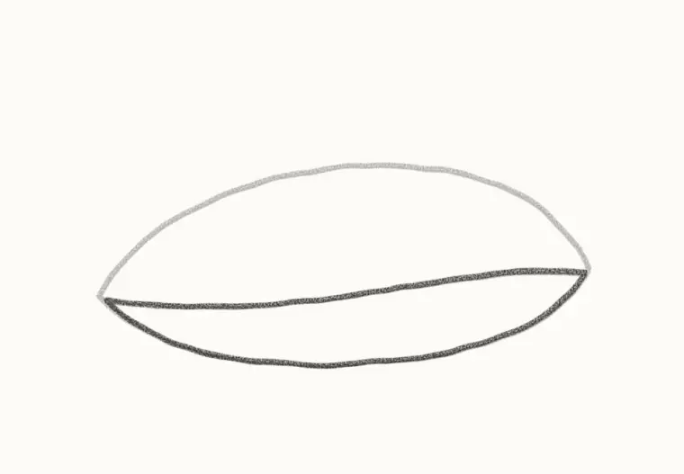 How to Draw a Cartoon Shark, step 2: add the belly