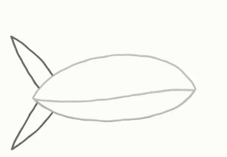 How to Draw a Cartoon Shark, step 3: draw the tail
