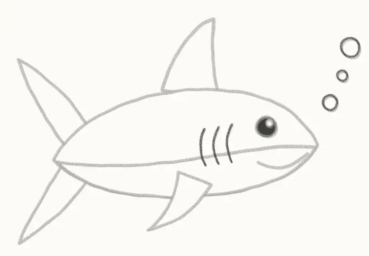 How to Draw a Cartoon Shark, step 6: add the gills and bubbles