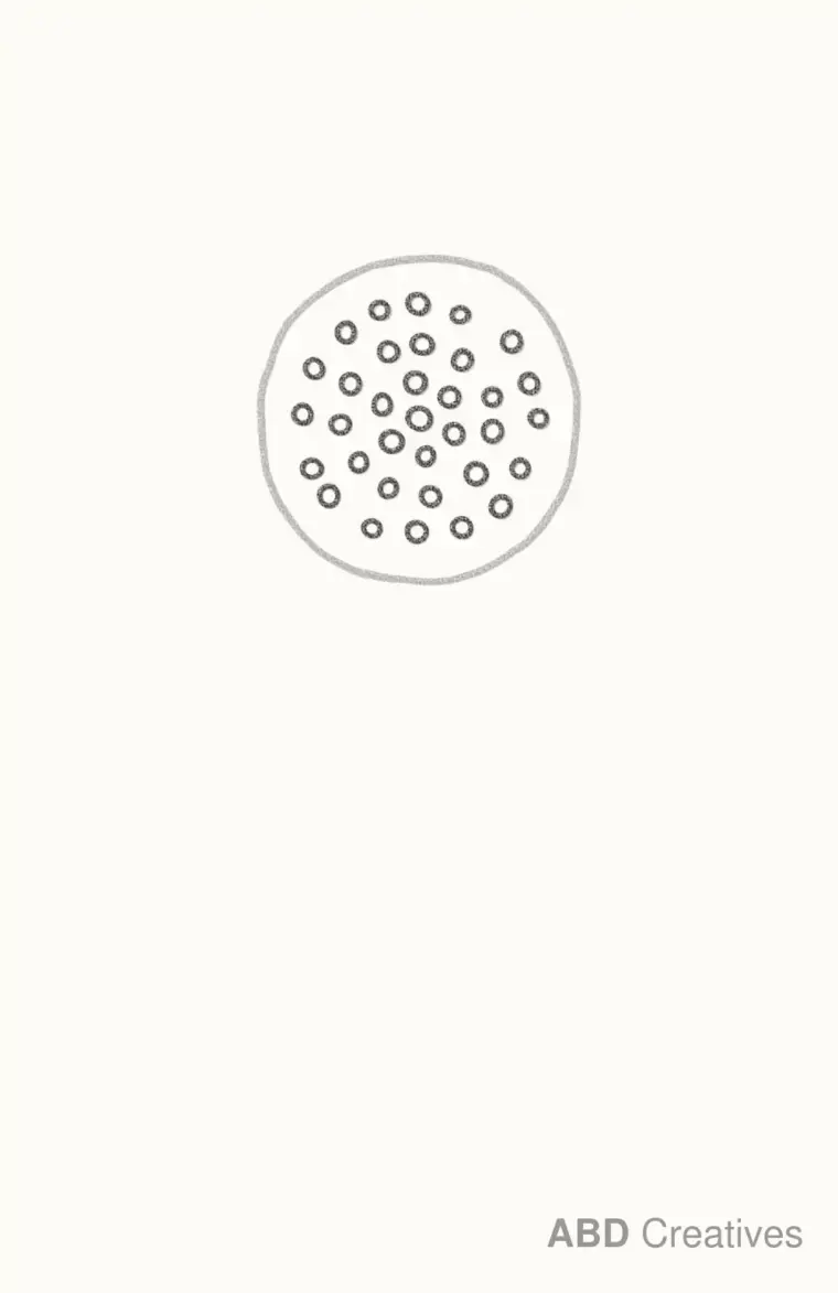 How to Draw a Cartoon Sunflower, step 2: add the seeds