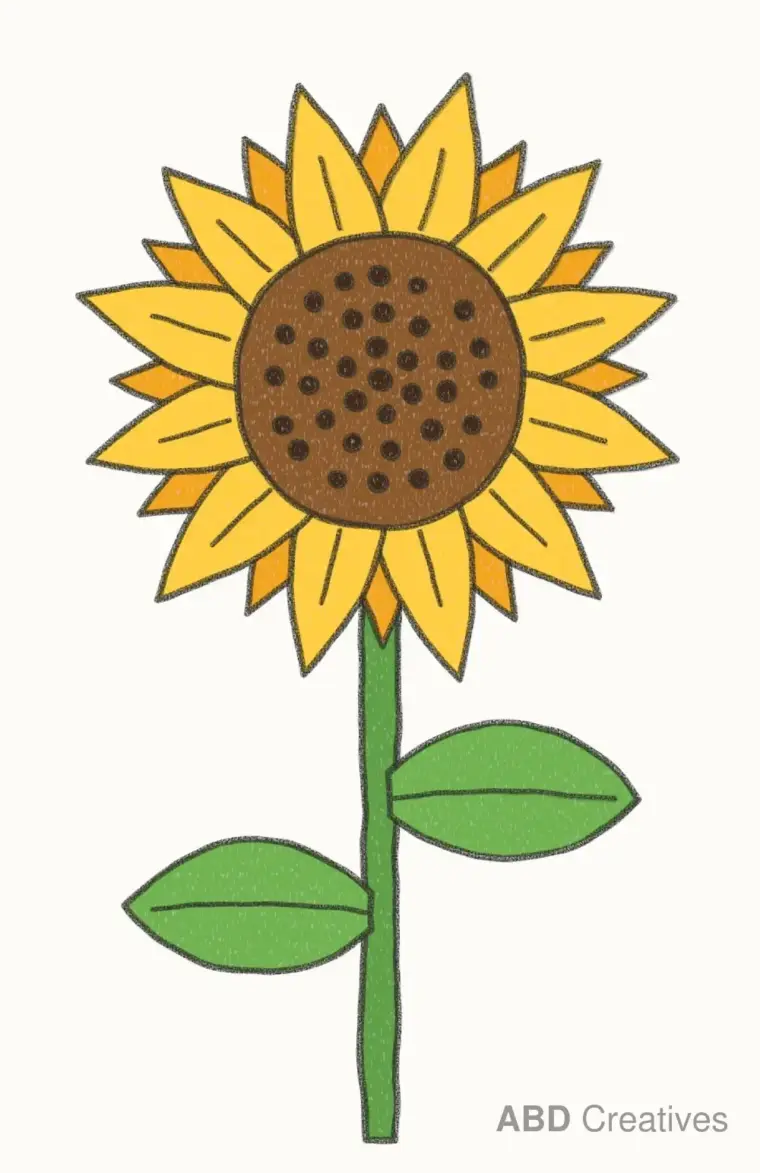 How to draw Flowers