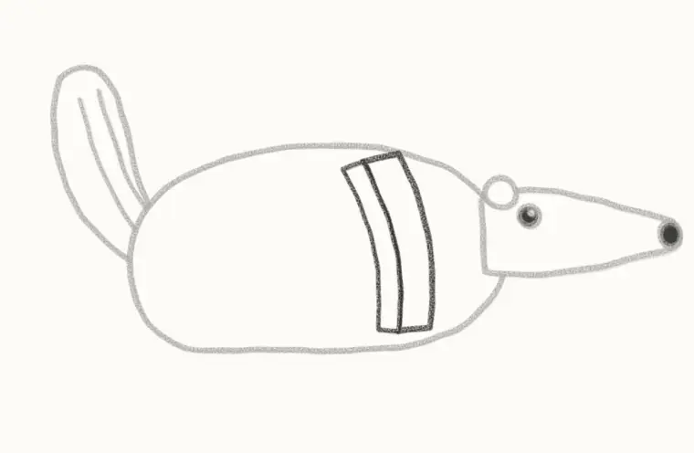 How to Draw a Cartoon Anteater, step 5: draw the stripe