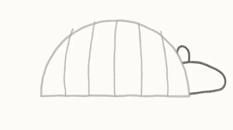 How to Draw a Cartoon Armadillo, step 3: draw the head