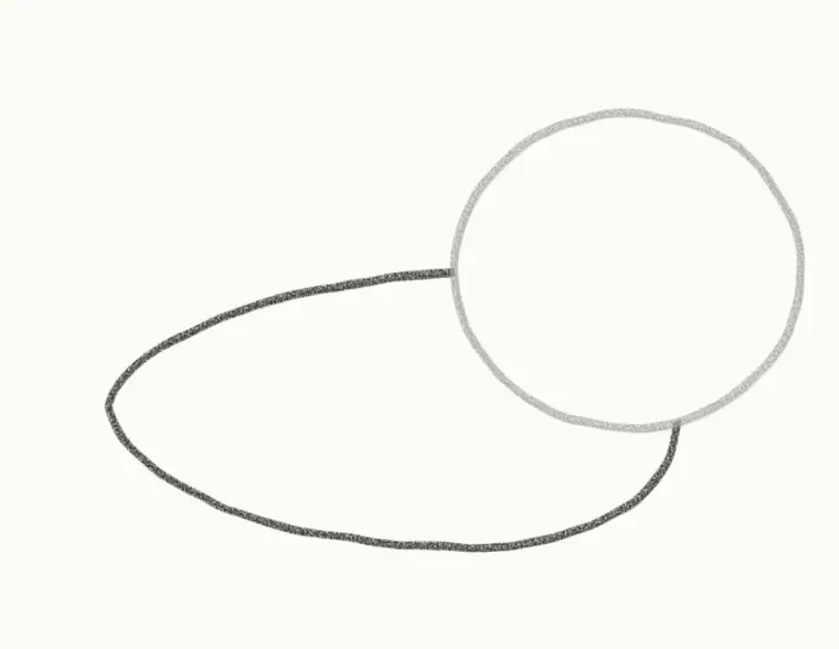 How to Draw a Cartoon Baby Seal, step 2: draw the body