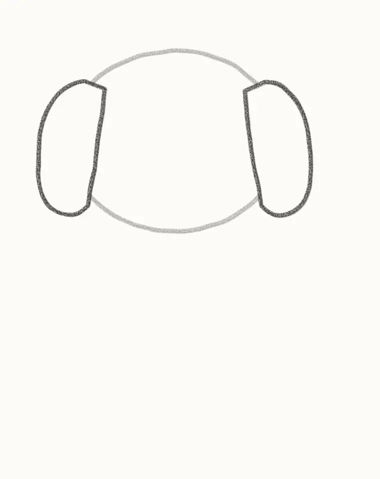 How to Draw a Cartoon Beagle, step 2: add the long floppy ears