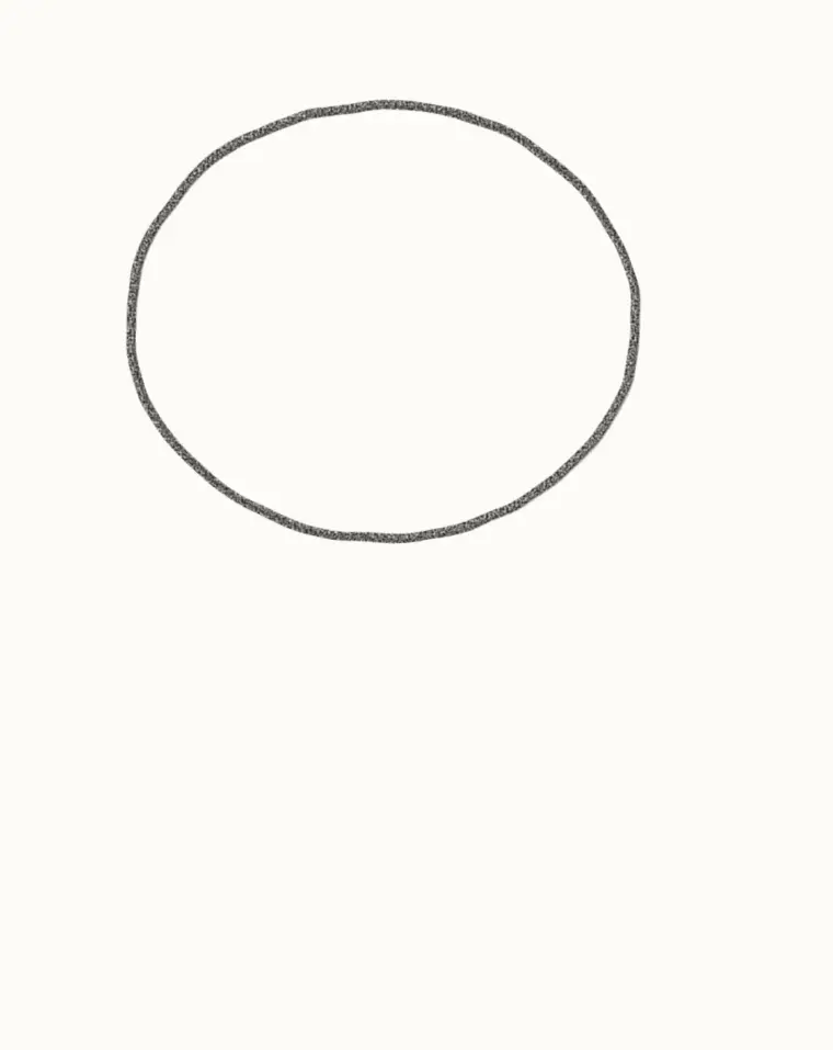 How to Draw a Cartoon Bear Cub, step 1: draw the big head