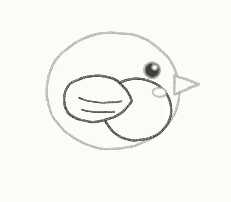 How to Draw a Cartoon Bird, step 4: draw the wing and tummy
