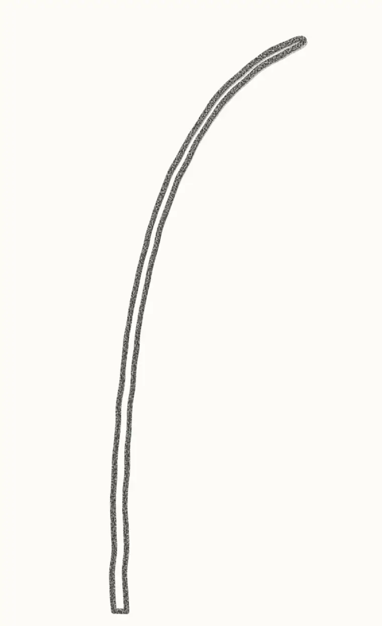 How to Draw a Cartoon Bluebell, step 1: draw the curved stem