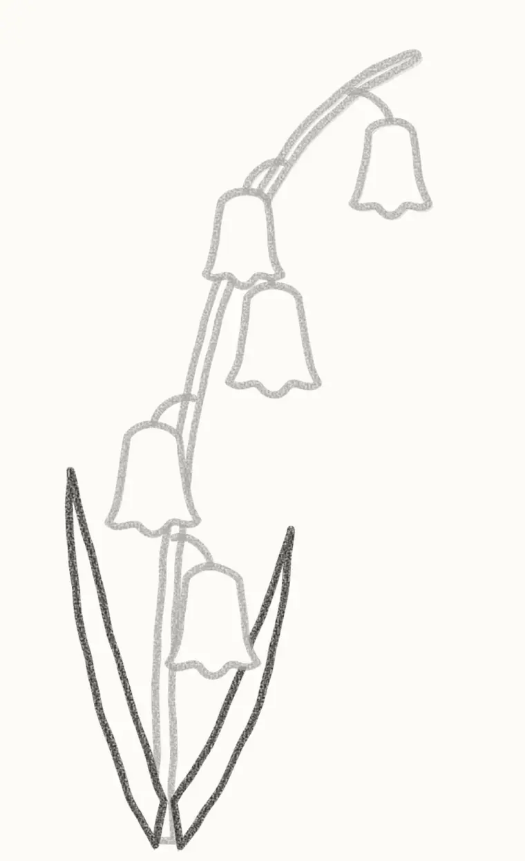 How to Draw a Cartoon Bluebell, step 5: draw the leaves