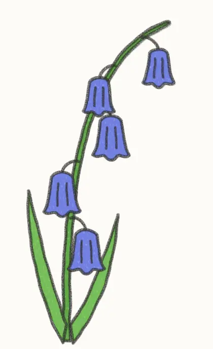 Finished cartoon bluebell drawing, coloured