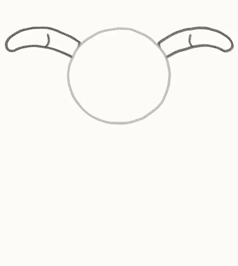 How to Draw a Cartoon Buffalo, step 2: add the big horns