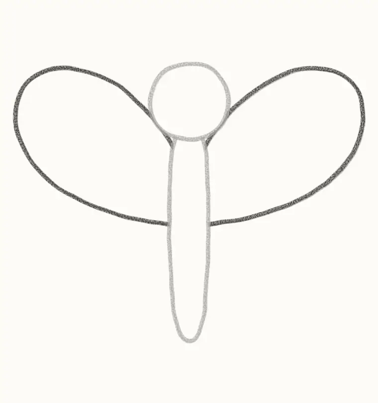 How to Draw a Cartoon Butterfly, step 2: draw the top wings