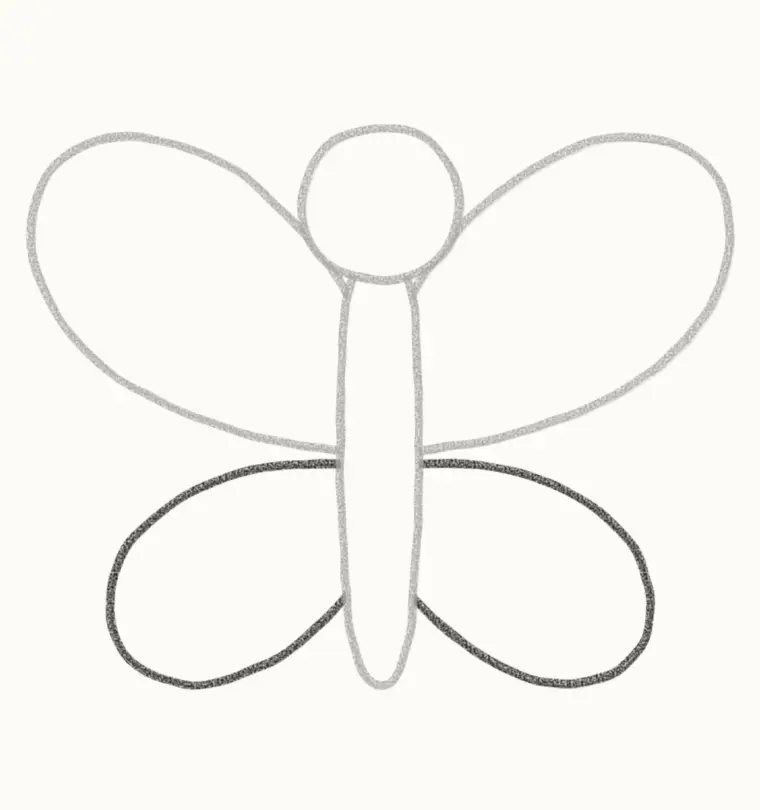 How to Draw a Cartoon Butterfly, step 3: draw the bottom wings