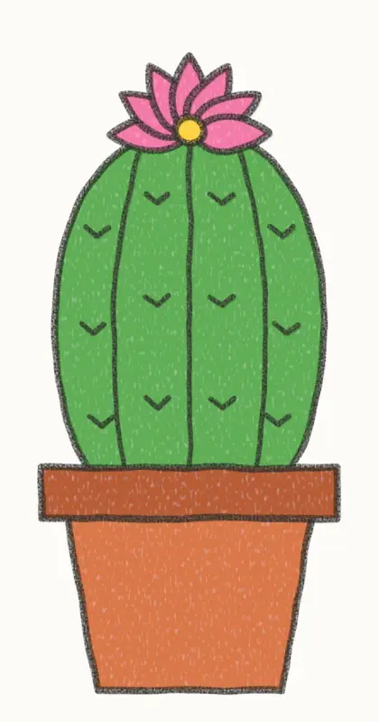 Finished cartoon cactus flower drawing, coloured