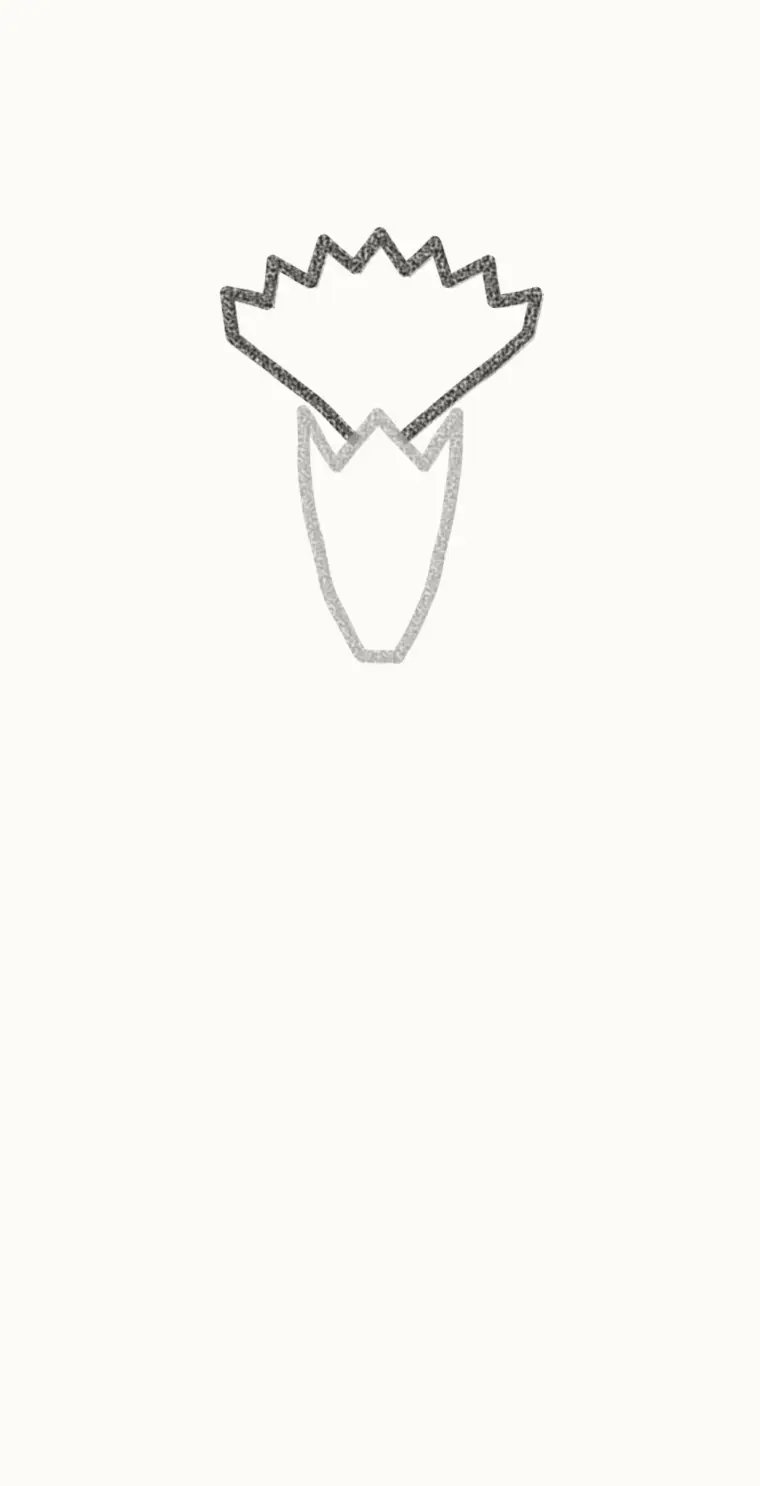 How to Draw a Cartoon Carnation, step 2: draw the front petals