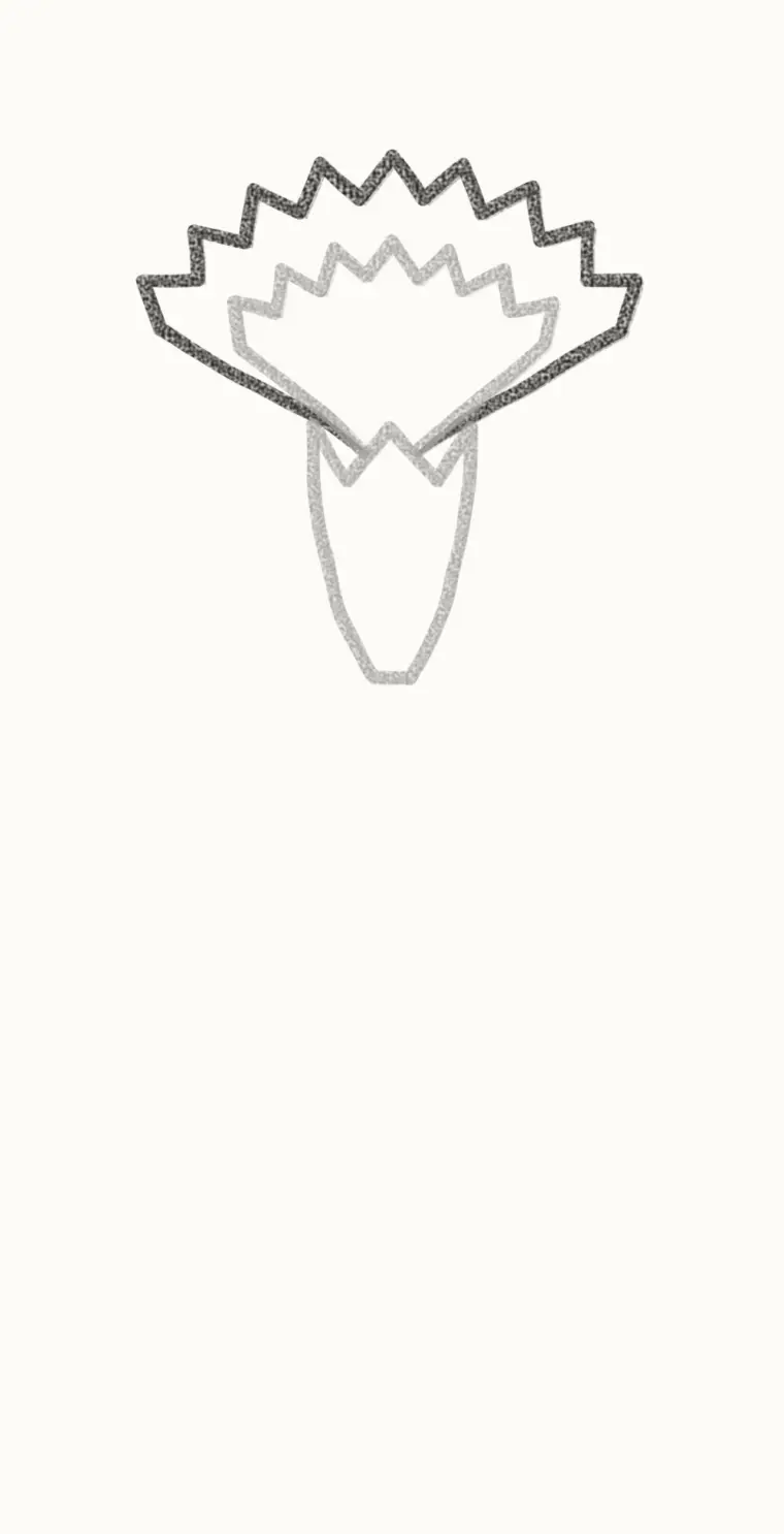How to Draw a Cartoon Carnation, step 3: add the middle petals