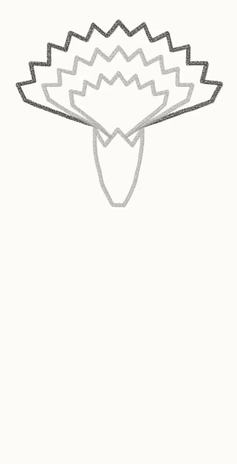 How to Draw a Cartoon Carnation, step 4: add the back petals