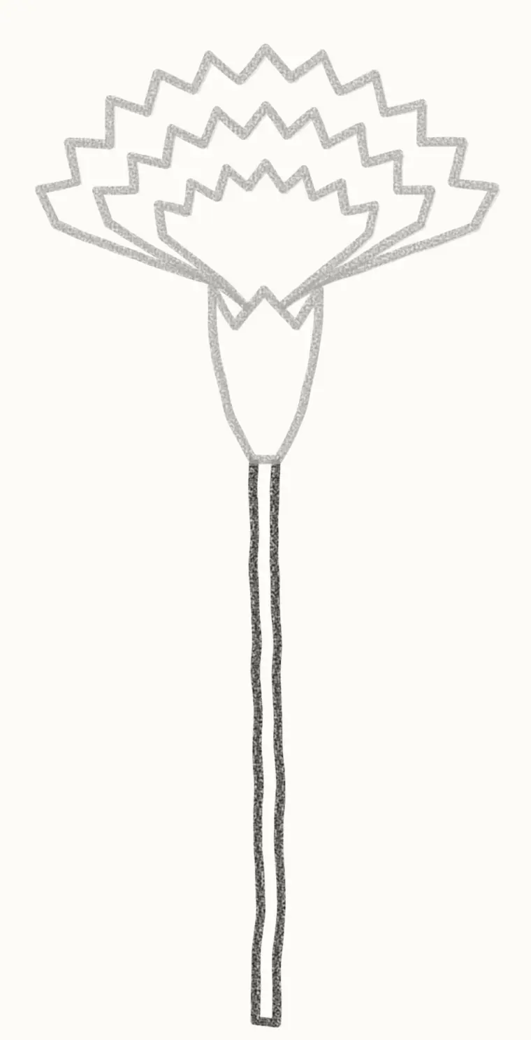 How to Draw a Cartoon Carnation, step 5: draw the stem