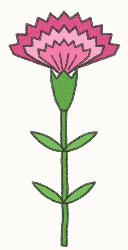 Finished cartoon carnation drawing, coloured