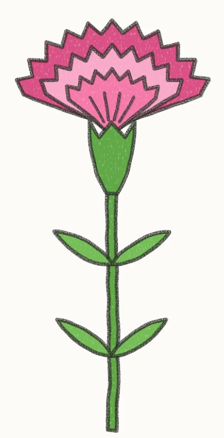 How to Draw a Cartoon Carnation, step 7 of 7: color your carnation, pencil drawing