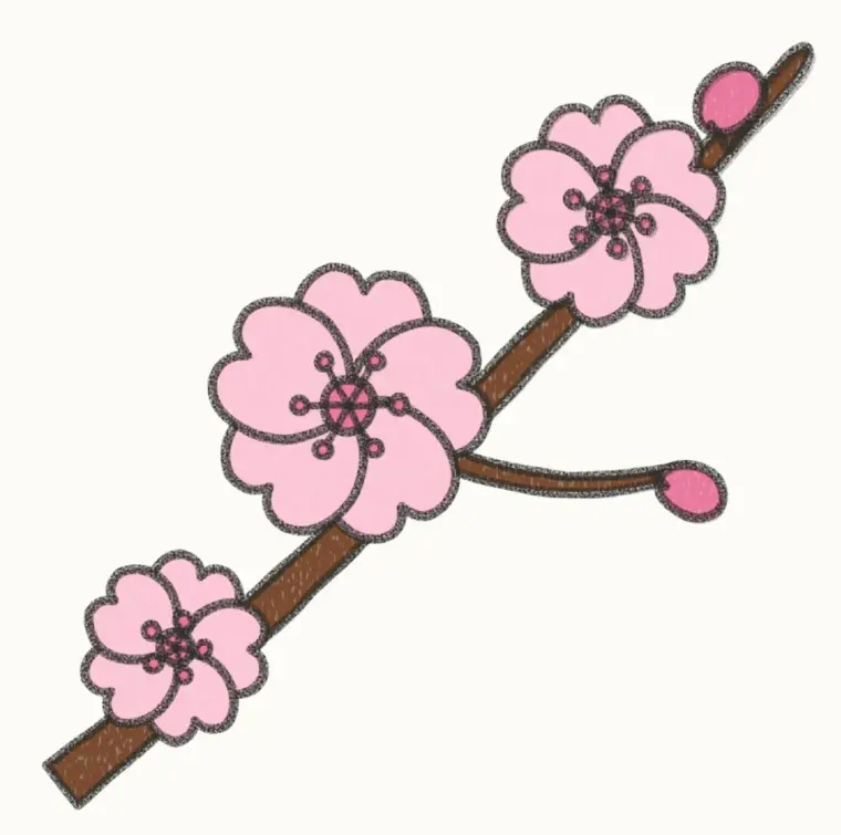 How to Draw a Cartoon Cherry Blossom, step 7 of 7: color your cherry blossom, pencil drawing