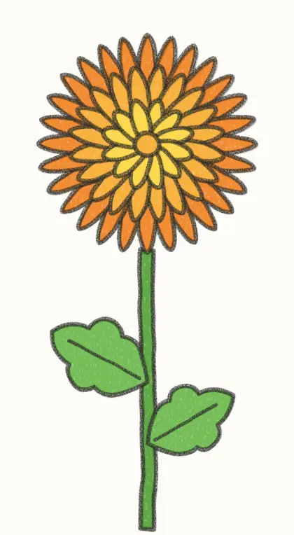 Finished cartoon chrysanthemum drawing, coloured