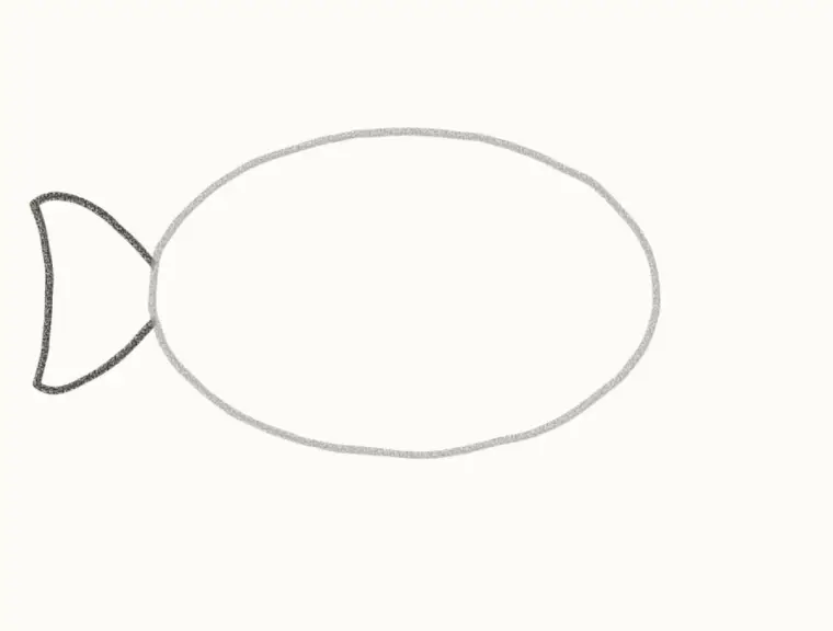 How to Draw a Cartoon Clownfish, step 2: add the tail fin