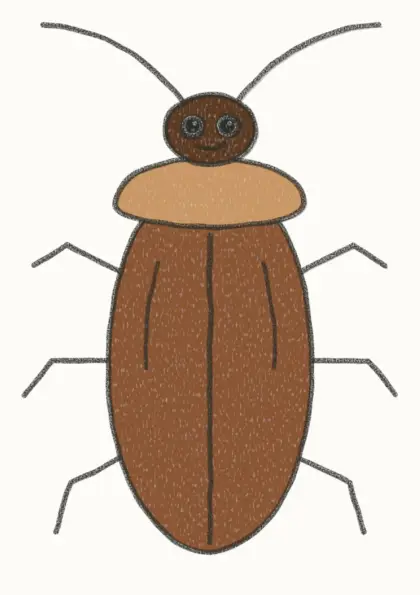 Finished cartoon cockroach drawing, coloured