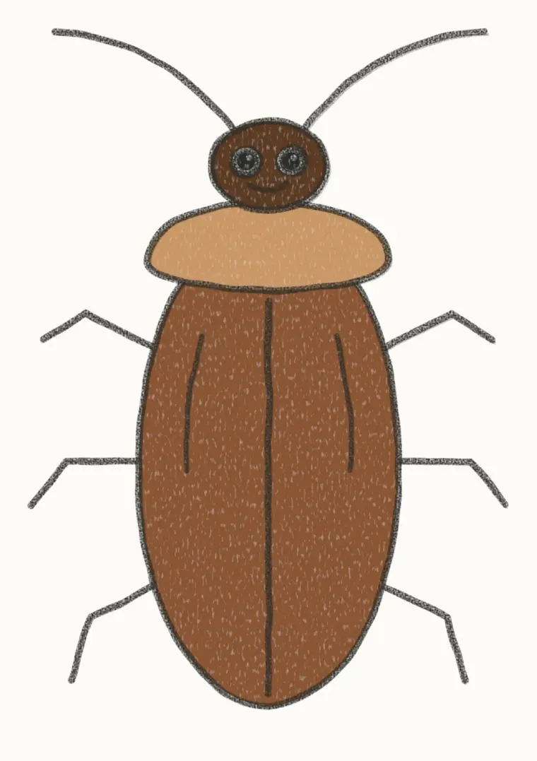 How to Draw a Cartoon Cockroach, step 7 of 7: color your cockroach, pencil drawing