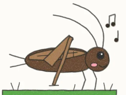Finished cartoon cricket drawing, coloured