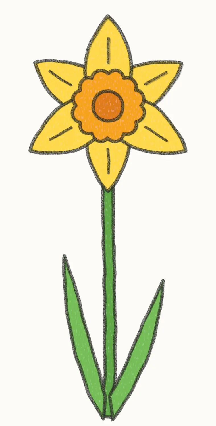 How to Draw a Cartoon Daffodil, step 7 of 7: color your daffodil, pencil drawing