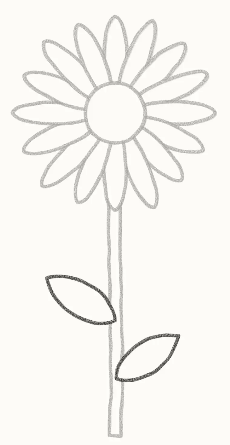How to Draw a Cartoon Daisy, step 5: add the leaves