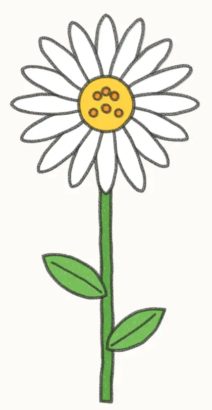Finished cartoon daisy drawing, coloured