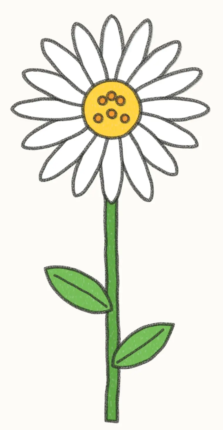 How to Draw a Cartoon Daisy, step 7 of 7: color your daisy, pencil drawing