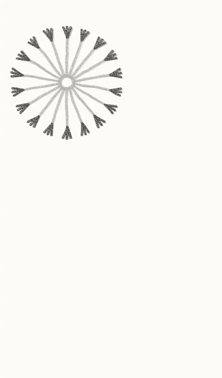 How to Draw a Cartoon Dandelion, step 2: add the fluffy tips