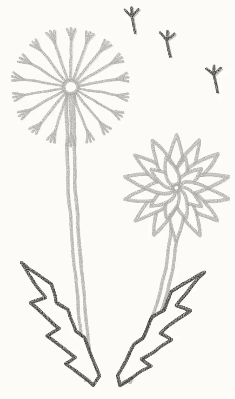 How to Draw a Cartoon Dandelion, step 6: add the leaves and seeds