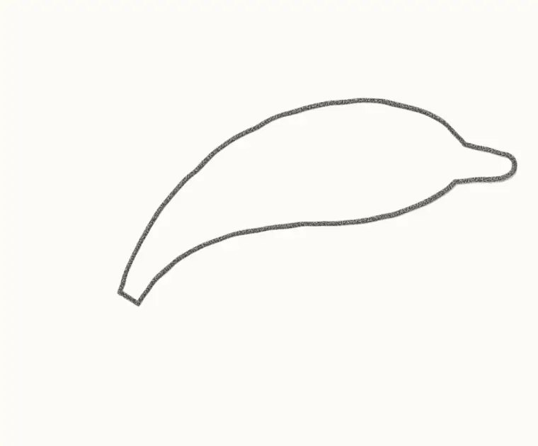 How to Draw a Cartoon Dolphin, step 1: draw the body