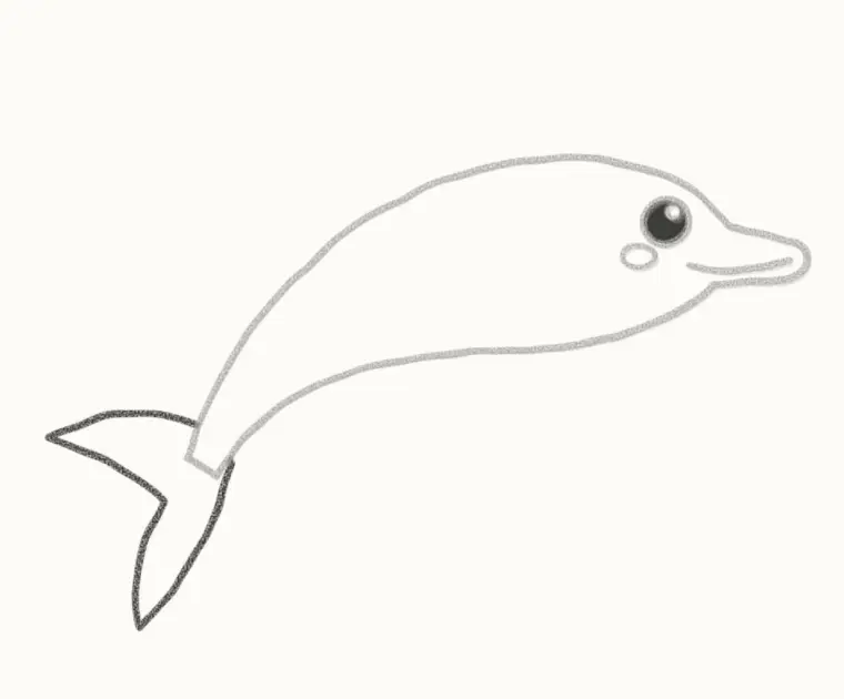 How to Draw a Cartoon Dolphin, step 3: add the tail