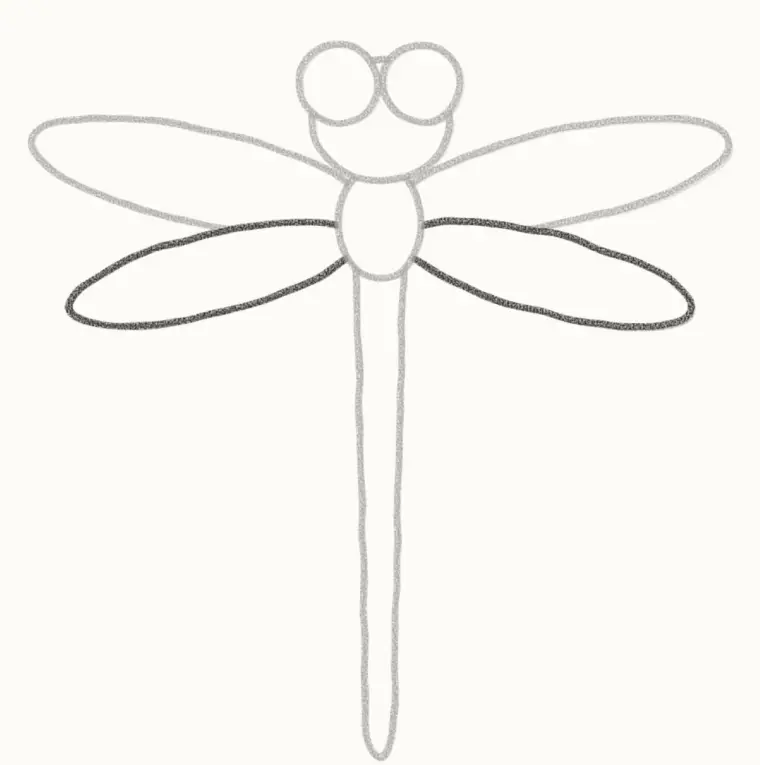 How to Draw a Cartoon Dragonfly, step 4: draw the bottom wings