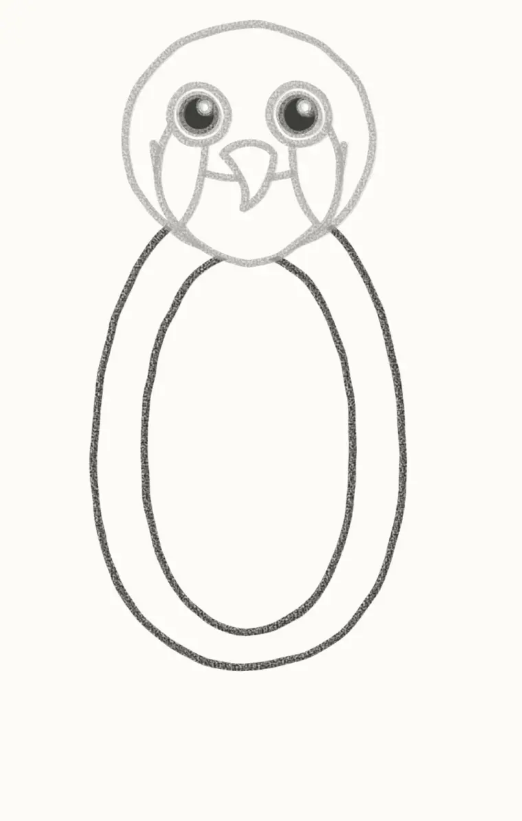 How to Draw a Cartoon Falcon, step 4: draw the body and chest