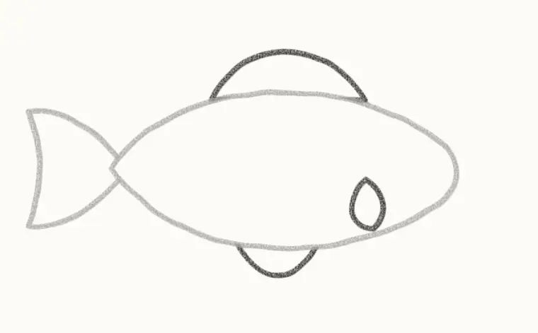 How to Draw a Cartoon Fish, step 3: draw the fins