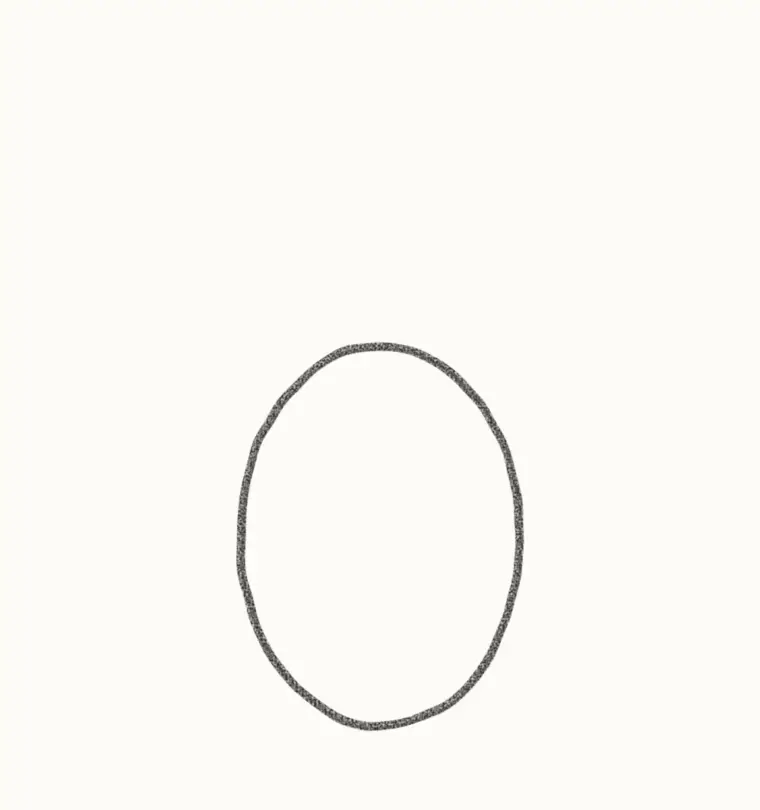 How to Draw a Cartoon Fly, step 1: draw the body