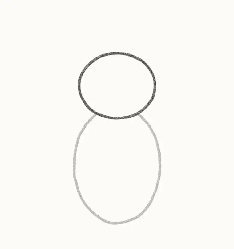 How to Draw a Cartoon Fly, step 2: add the head