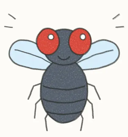 Finished cartoon fly drawing, coloured